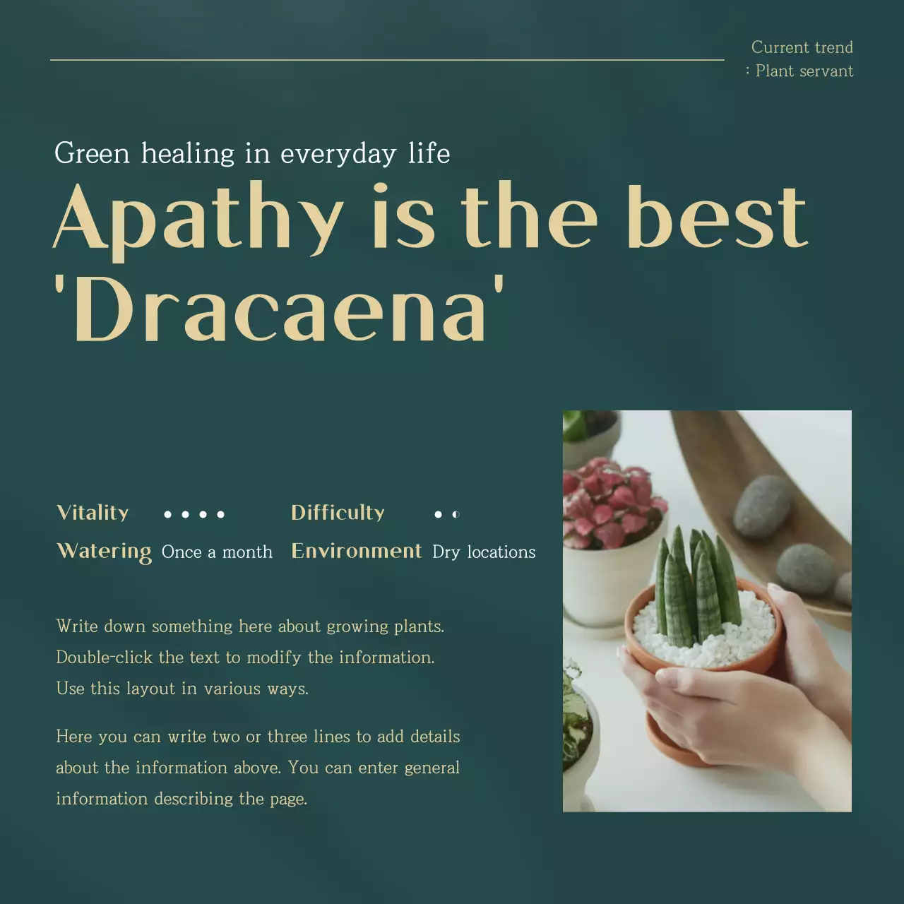 Green and Gold trending pet plant recommendations explained