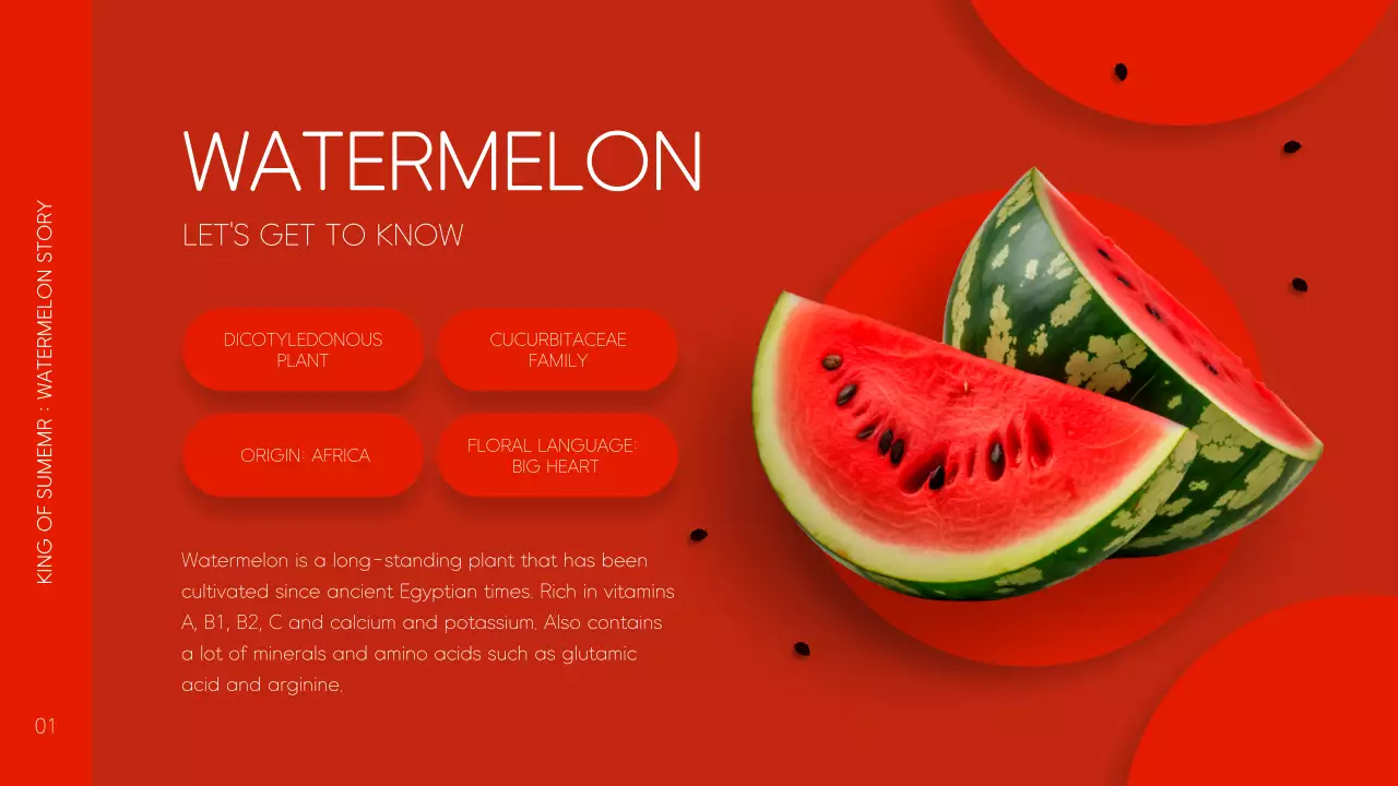 레드 모던 프루트 광고 프리젠테이션