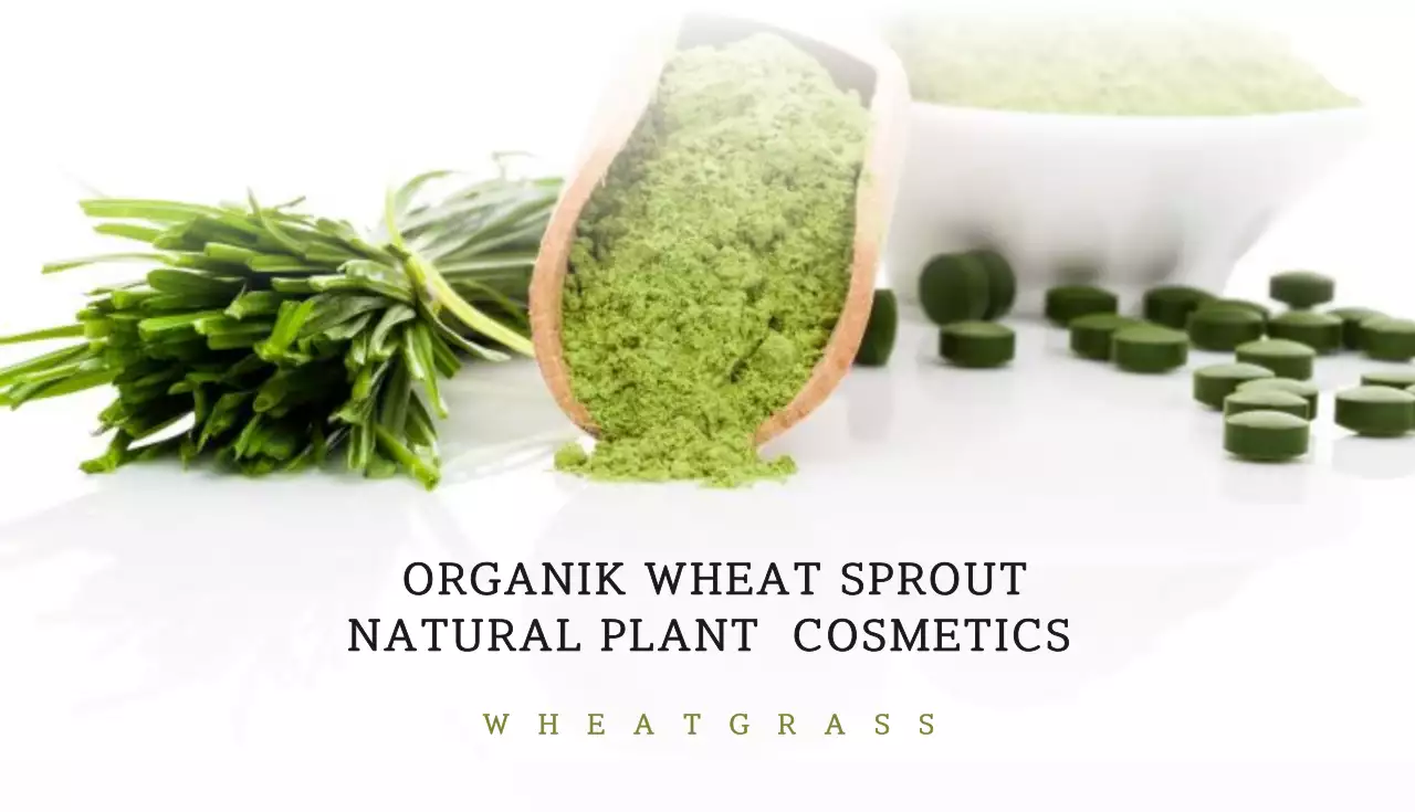 Green Minimal Cosmetics Advertisement Business Card