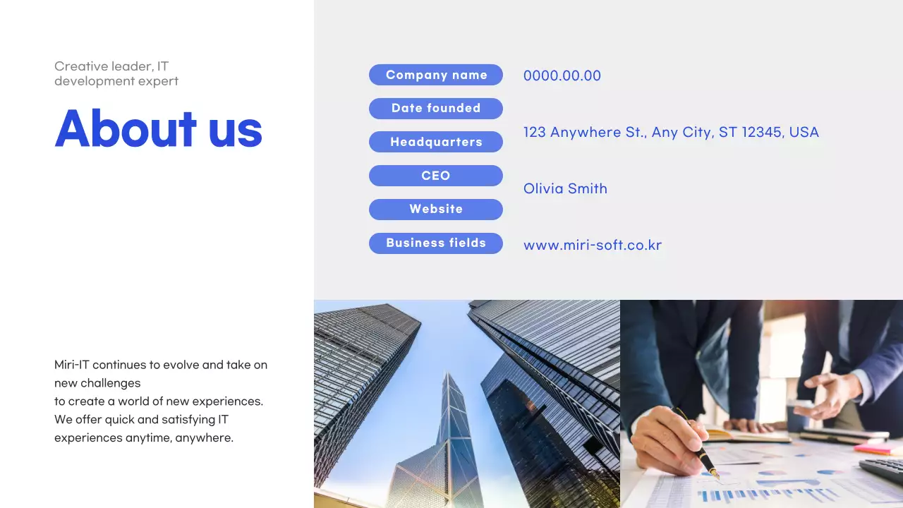 Giới thiệu công ty Blue it (thuyết trình)