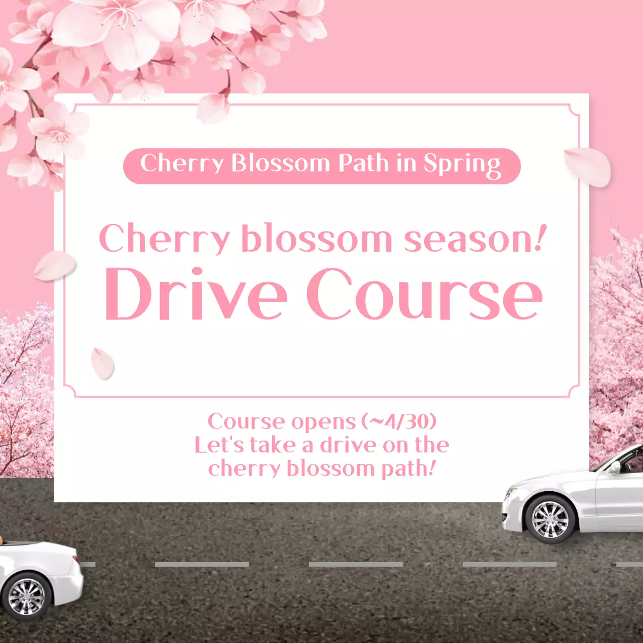 Pink Elegant Drive Promotion Instagram Post
