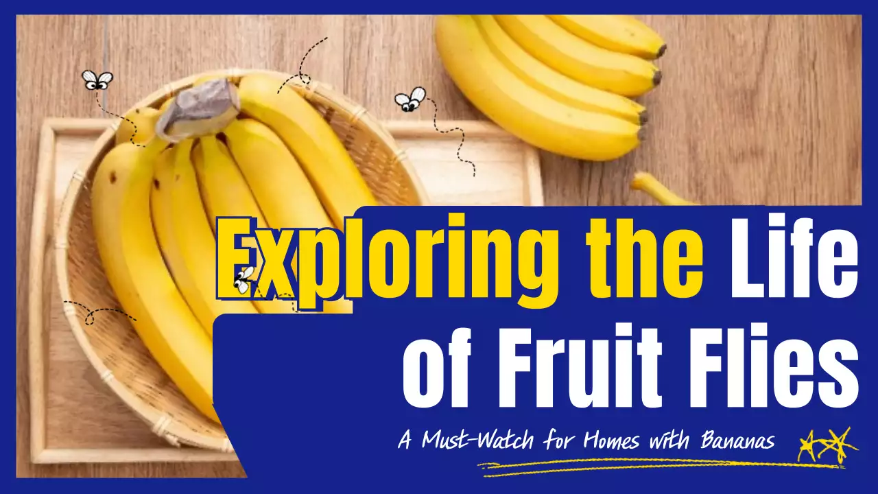 Yellow Modern Fruit Guide YouTube Thumbnail