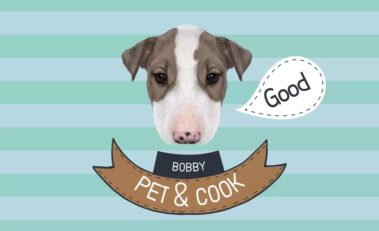 Banner de promoção de animais de estimação simples Mint