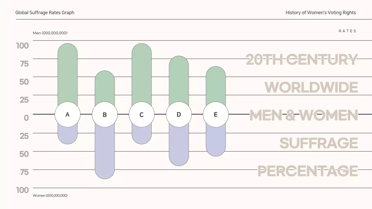 Beige Modern Suffrage Report Infographic
