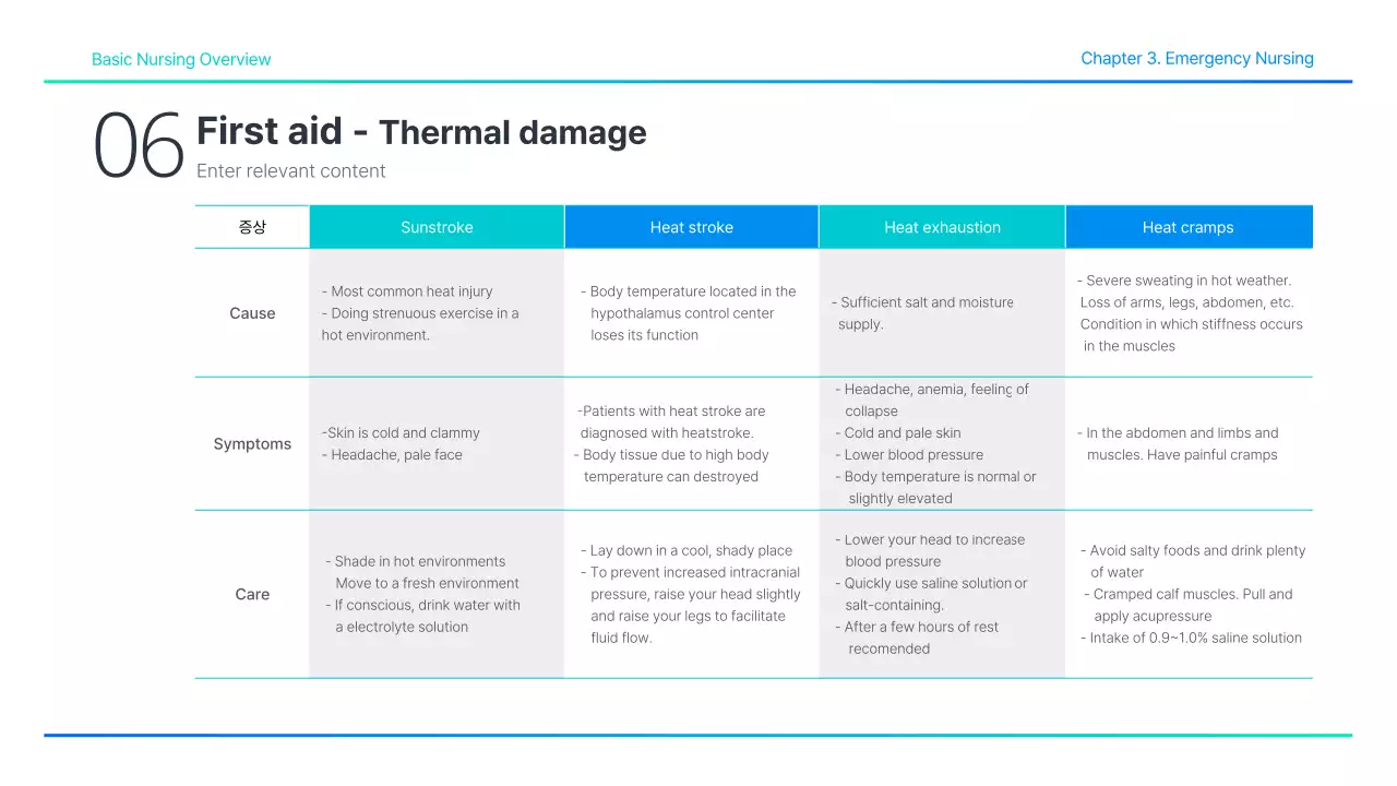 Teal Professional Nursing Guide Presentation