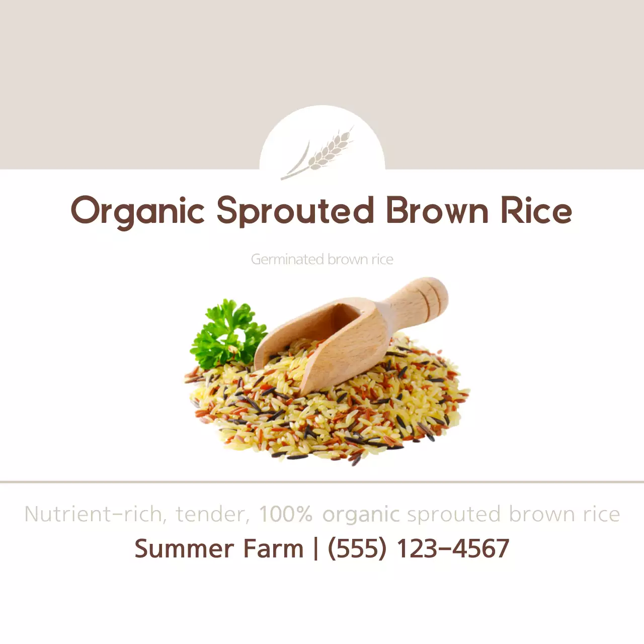 Gạo lứt nảy mầm