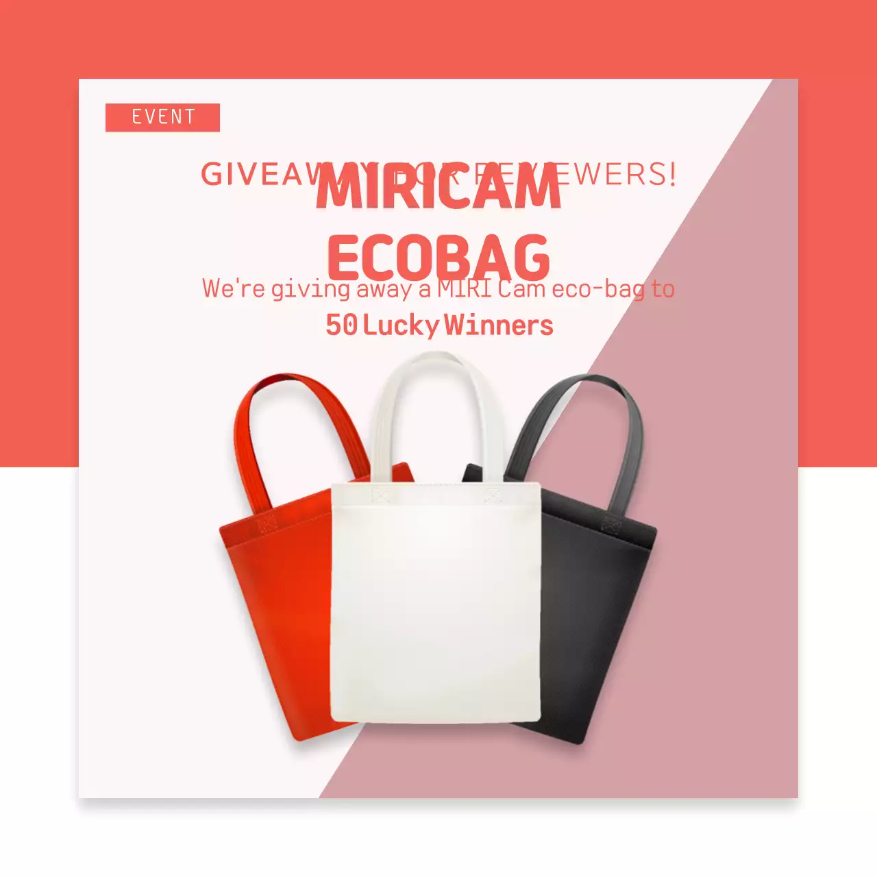 Red Trendy Eco-Bag Promotion Instagram Post