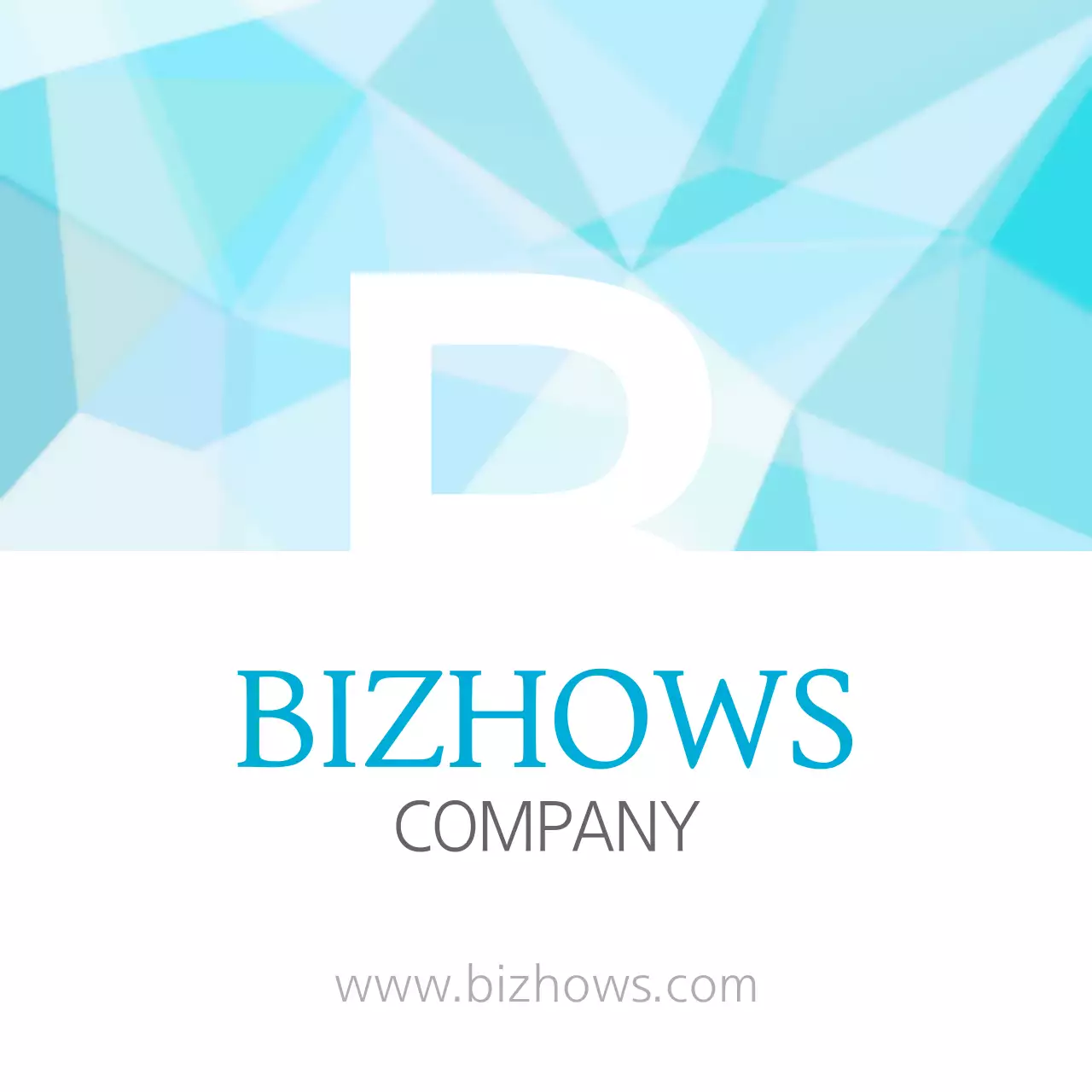 BIZHOWS
