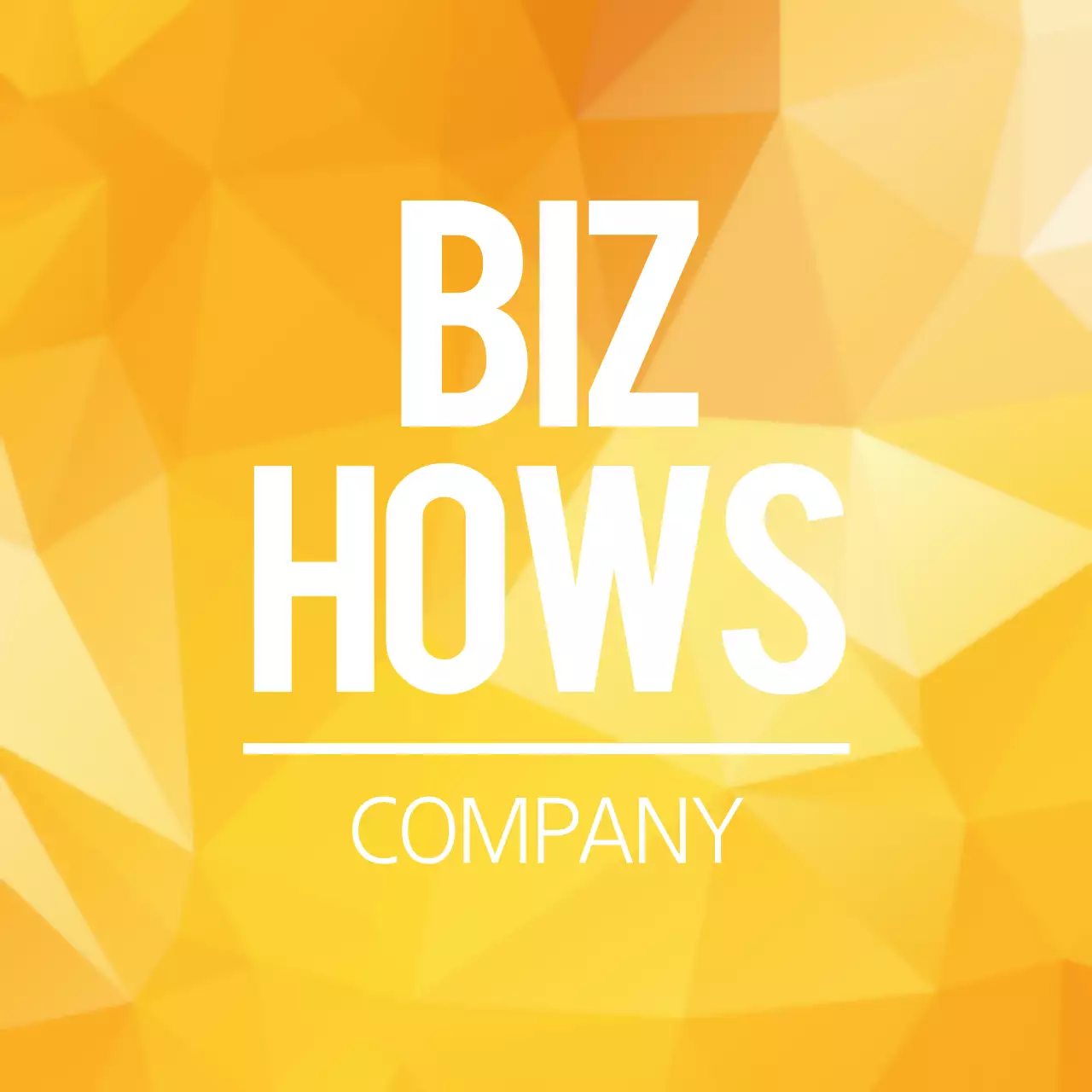 BIZ HOWS