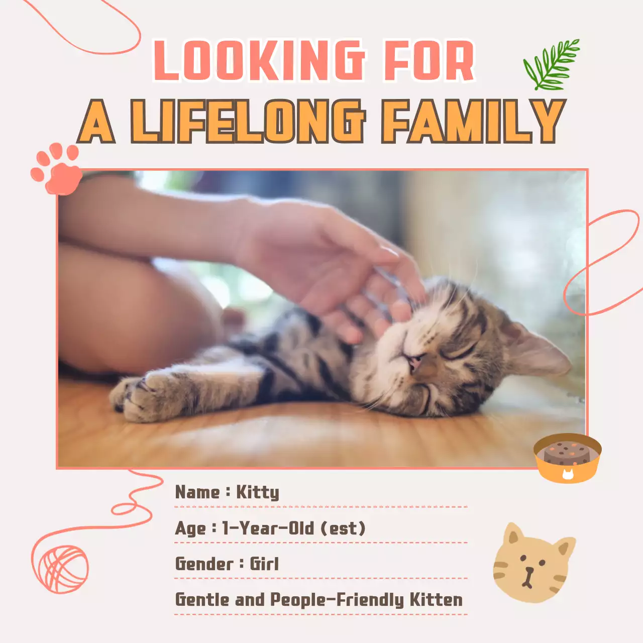 핑크색의 실타래 컨셉 고양이 입양 공지 홍보
