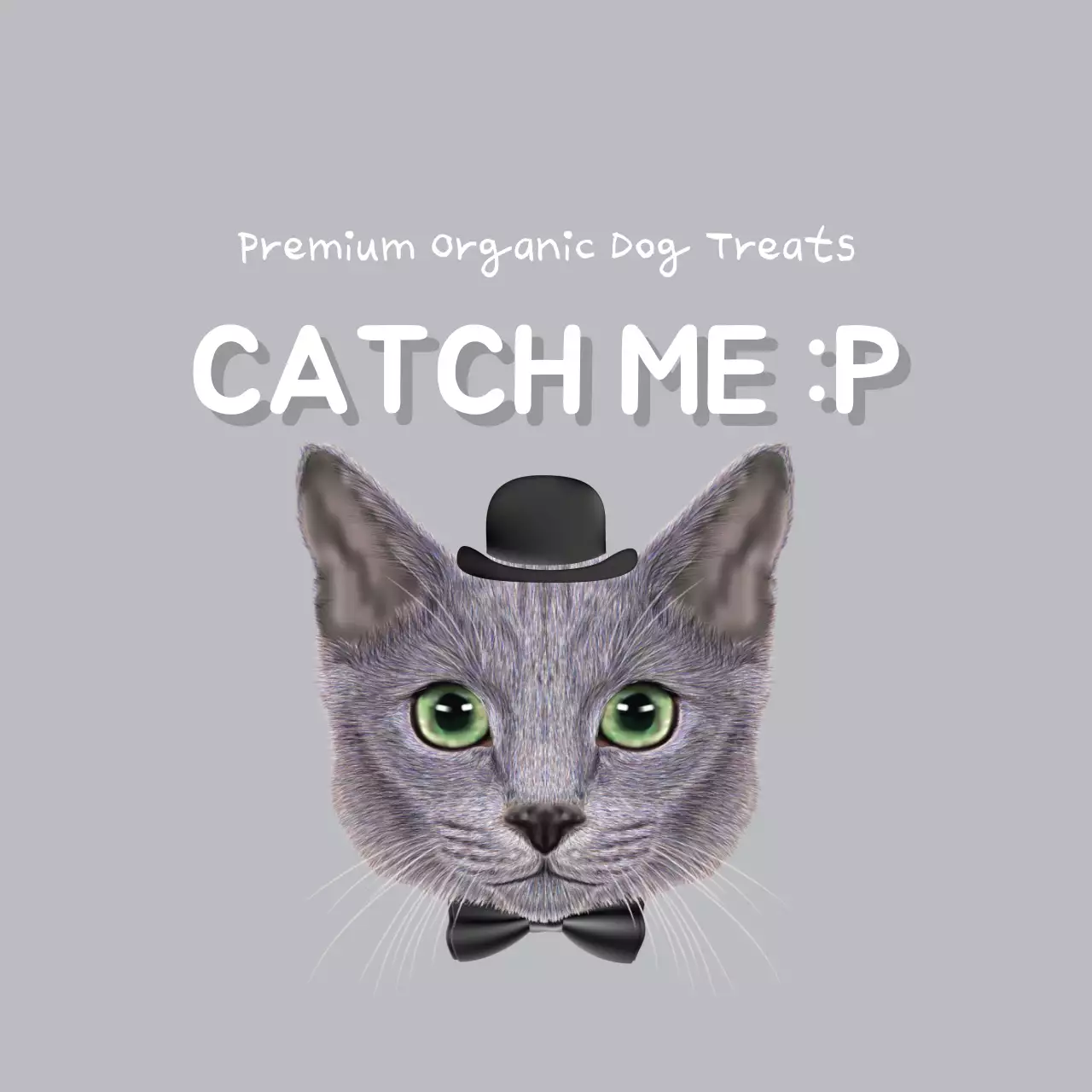 Grey Creative Pet Promotion Banner