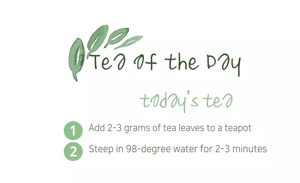 Green Minimal Tea Instruction Banner