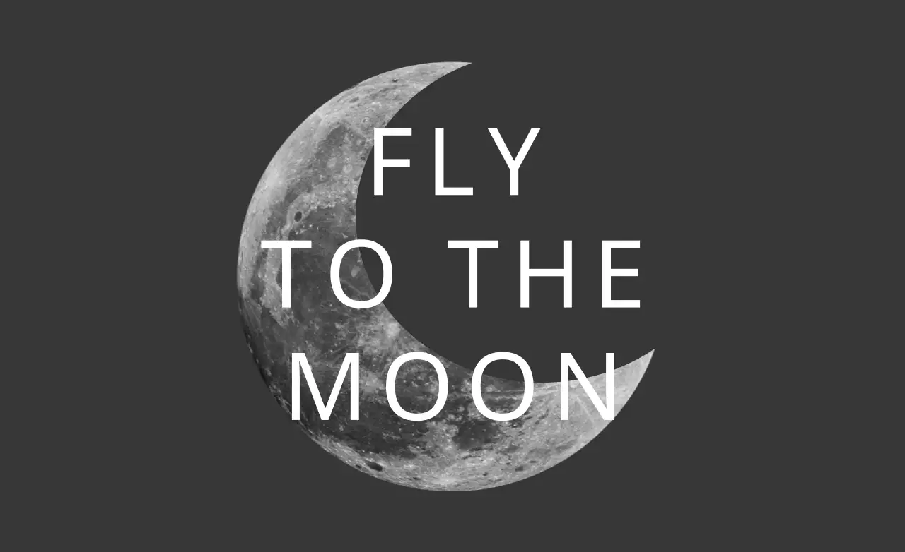 Grey Minimal Moon Advertisement Banner