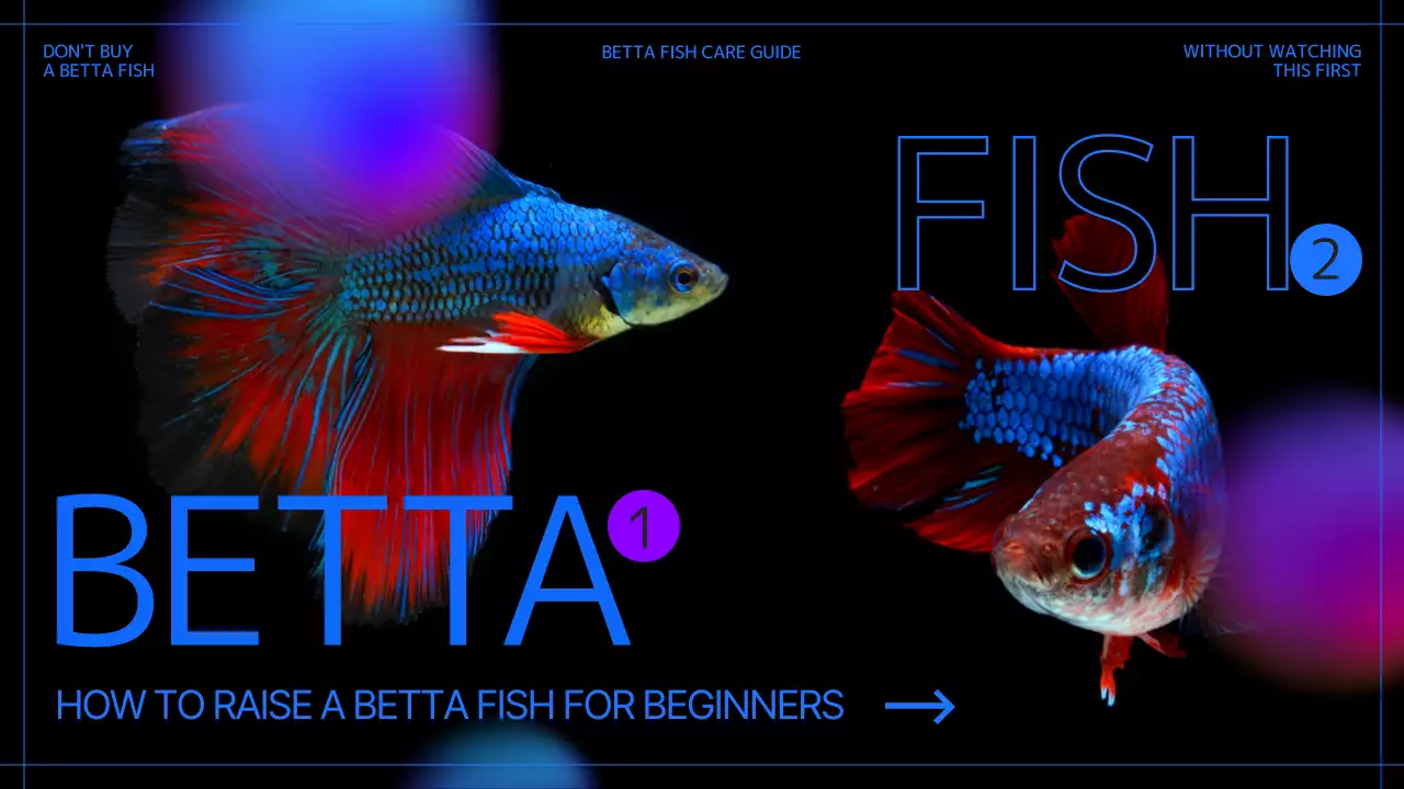 Blue Modern Fish Guide YouTube Thumbnail