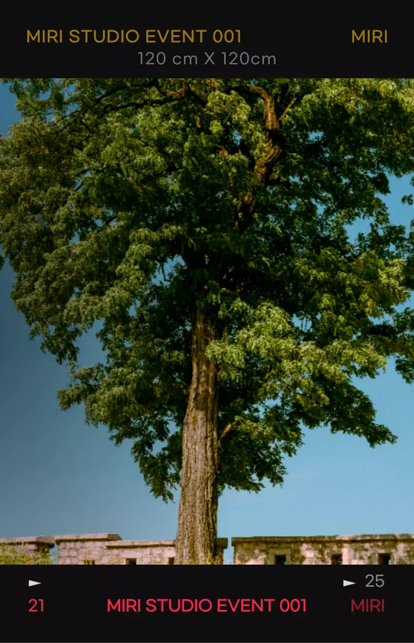 Emotional and hip photo film frame concept with high contrast colors for personalized merchandise.