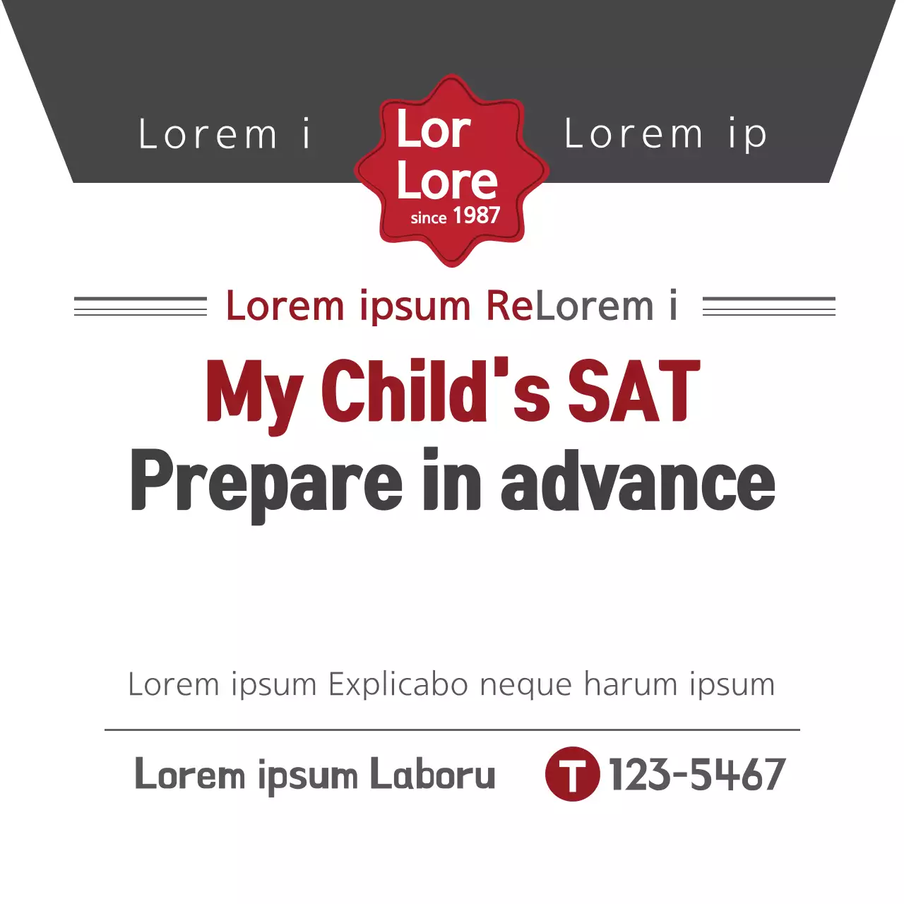 Red Professional Sat Promotion Banner