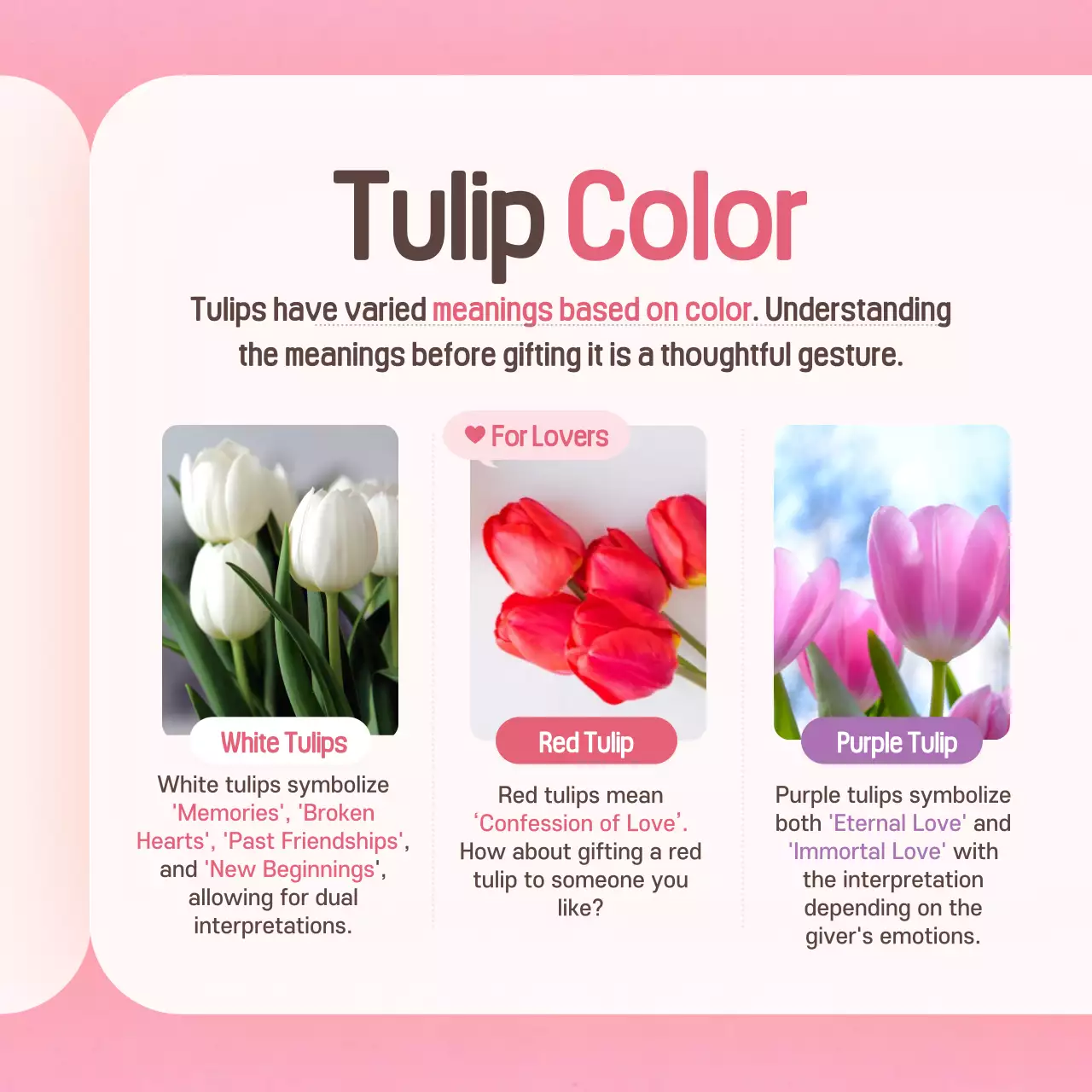 Pink Elegant Flower Guide Instagram Carousel