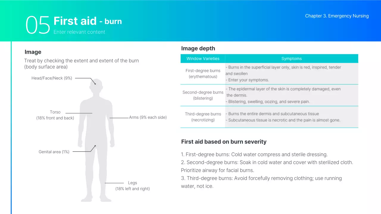Teal Professional Nursing Guide Presentation