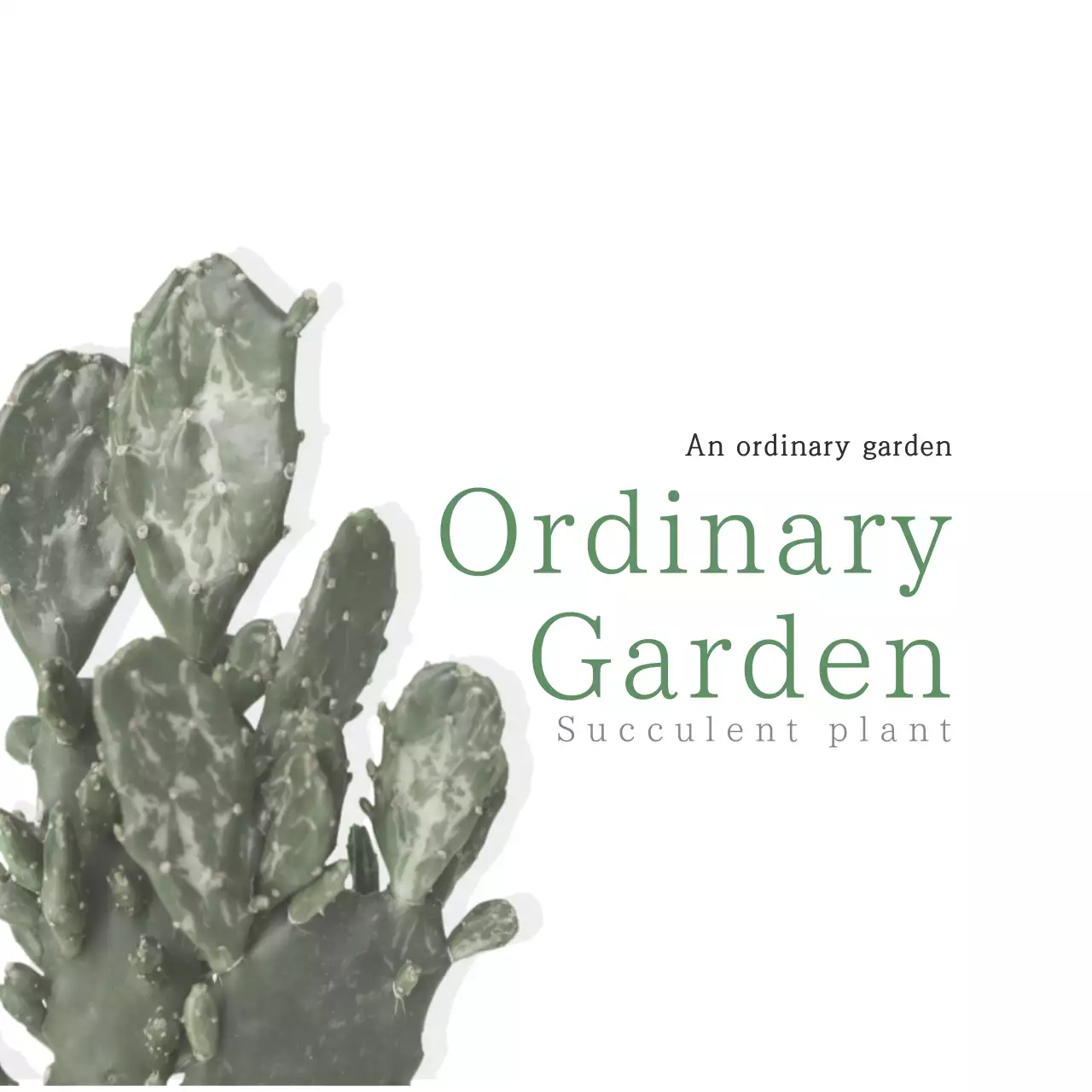 Green Minimalist Garden Guide Banner