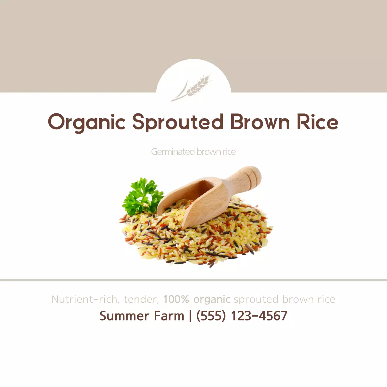 Sprouted Brown Rice
