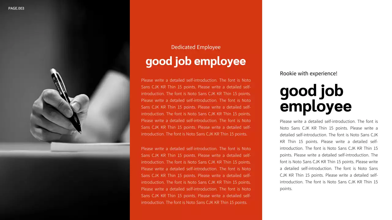 Red Modern Portfolio Document Presentation