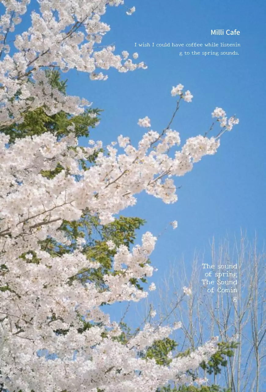 Conceito de produtos da primavera em flor de cerejeira Design de produtos com inspiração japonesa
