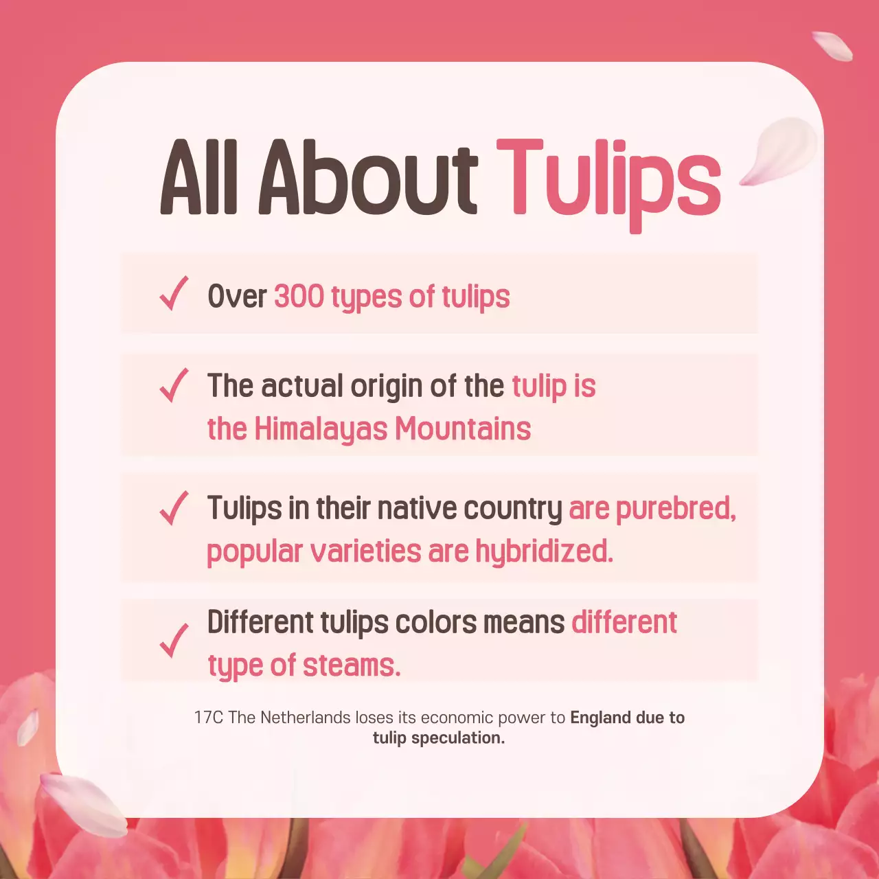 Pink Elegant Flower Guide Instagram Carousel