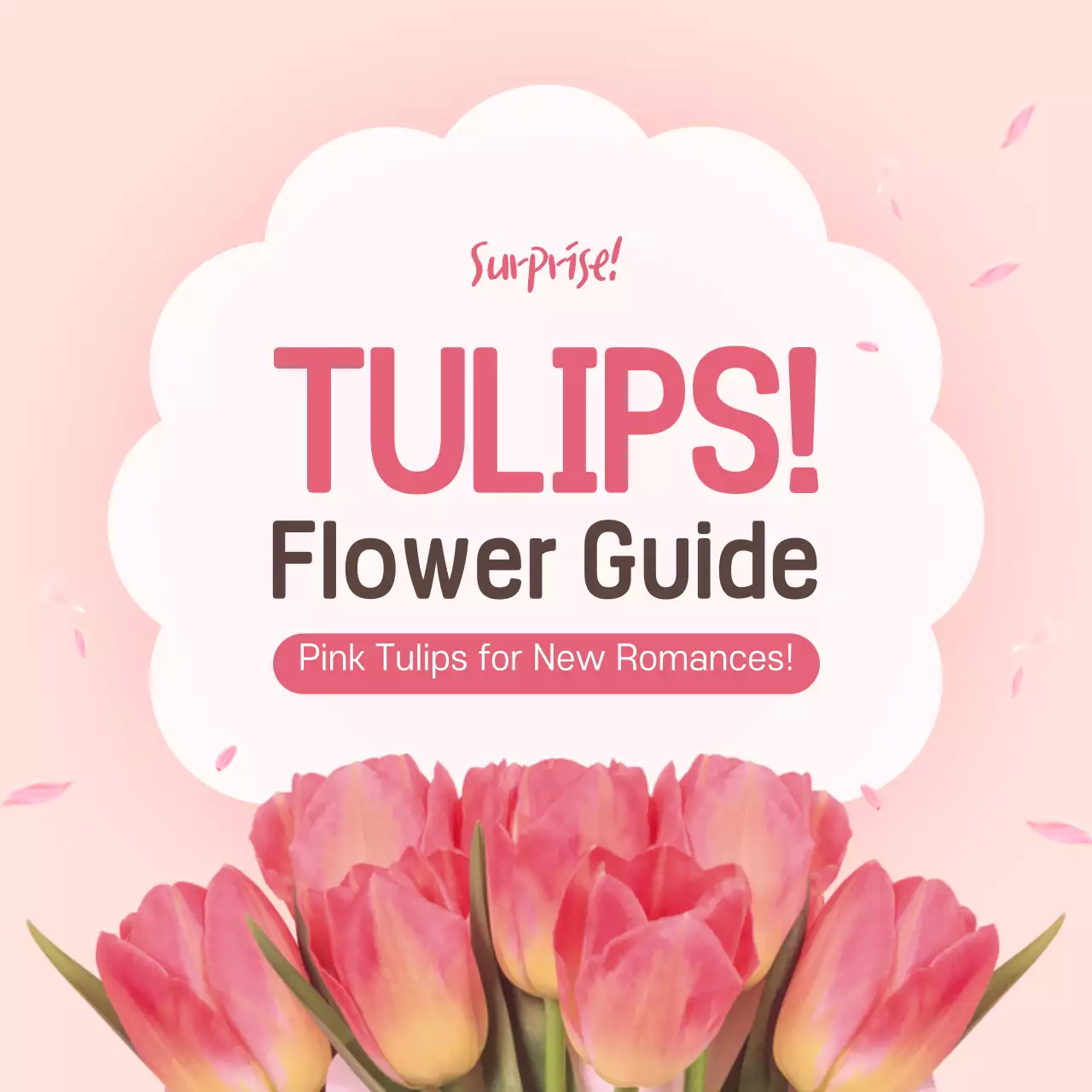 Pink Elegant Flower Guide Instagram Carousel