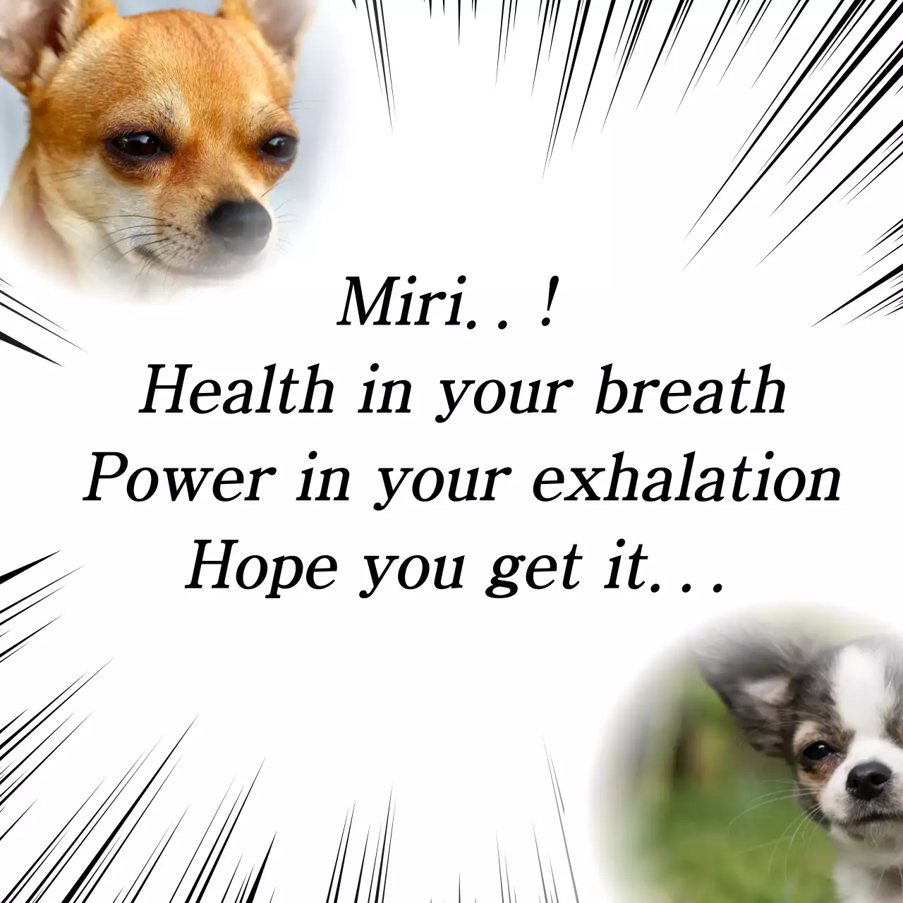 Black Comic Dog Meme Social Media Post