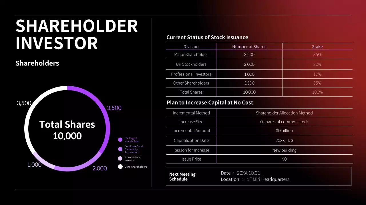 Black Modern Investor Report Infographic