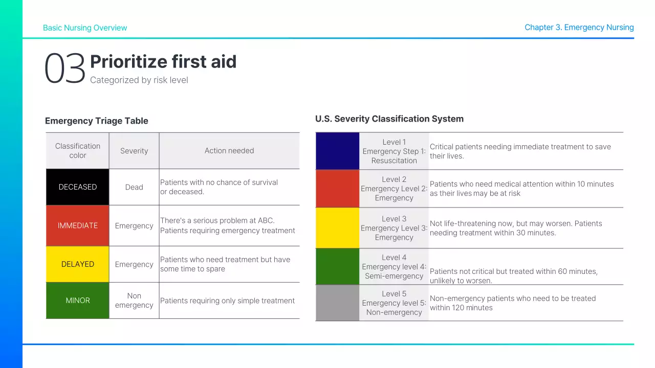 Teal Professional Nursing Guide Presentation