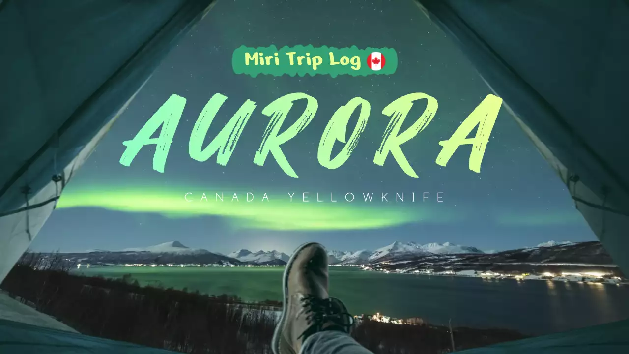 초록색 레몬색 일인칭 시점의 깔끔한 풍경 컨셉 해외여행 로그