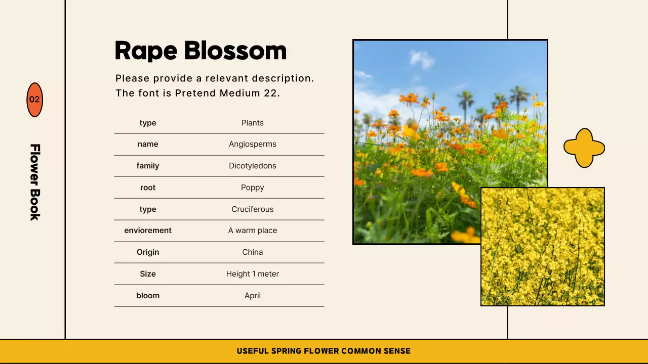 Orange Modern Spring Guide Presentation