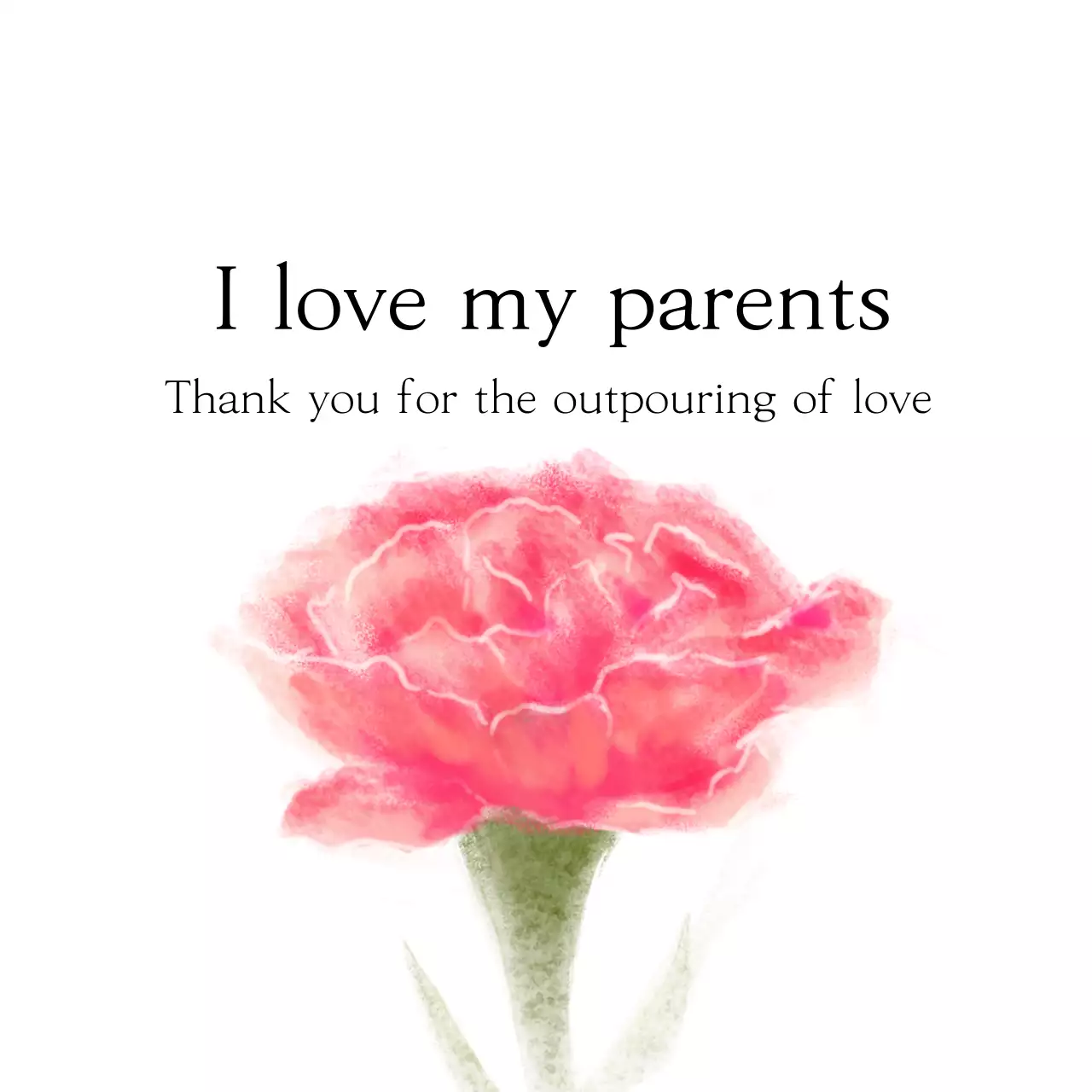 Hoa Cẩm Chướng Hồng Lời Tri Ân Ngày Của Mẹ