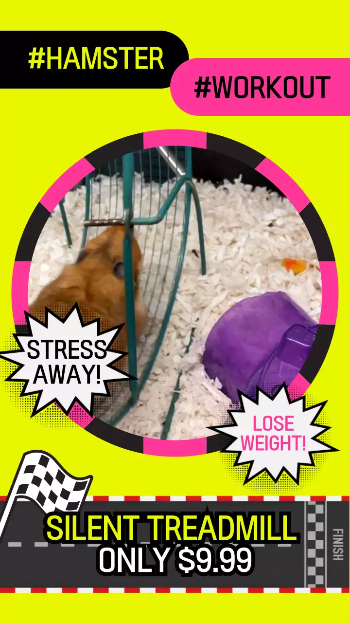 연두 핑크 햄스터 귀여운 쳇바퀴 홍보