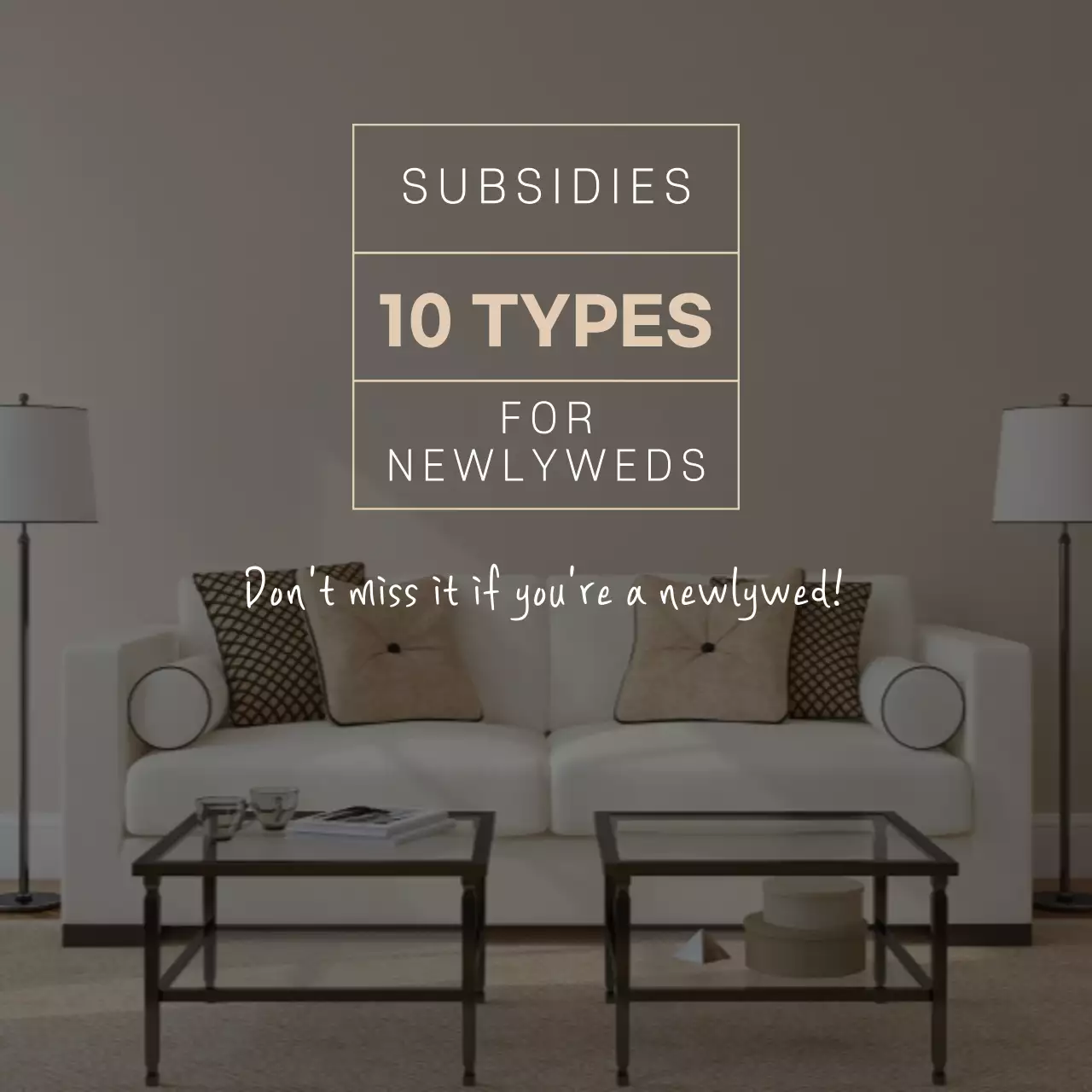 Beige Modern Subsidies Announcement Social Media Post