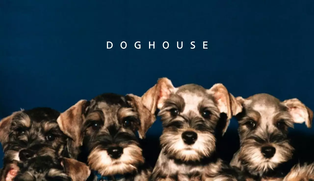 Blue Modern Pet Business Card