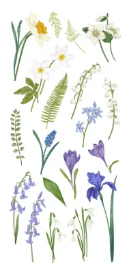 Emotional watercolor drawing concept illustration of flowers and blades of grass