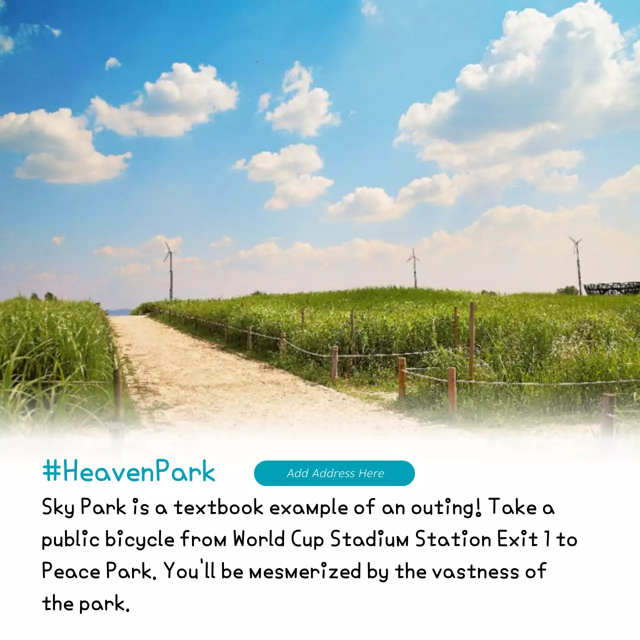 Blue Modern Park Guide Instagram Carousel