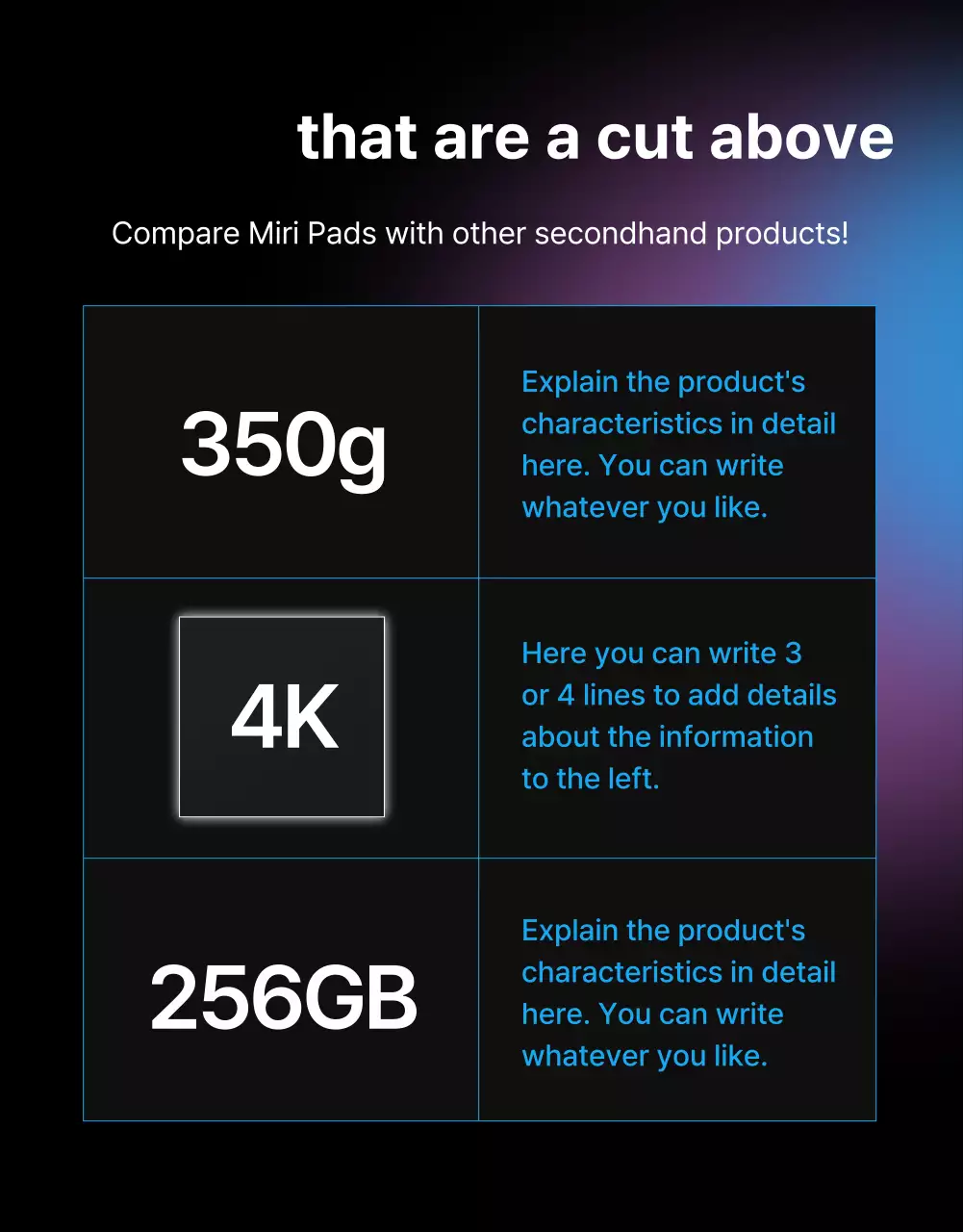 Black Blue Point Simple and classy classifieds page (detail page)