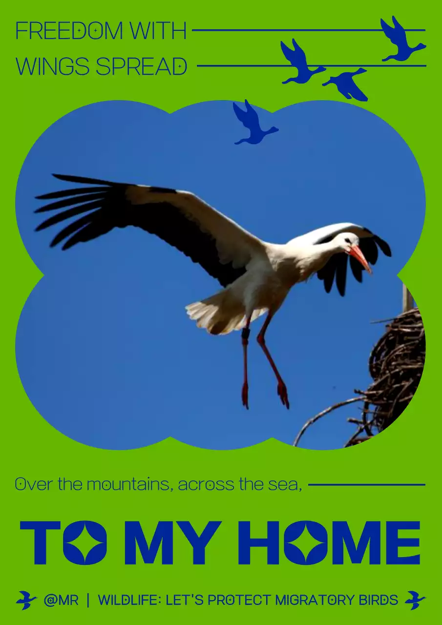 Green Modern Wildlife Promotion Poster