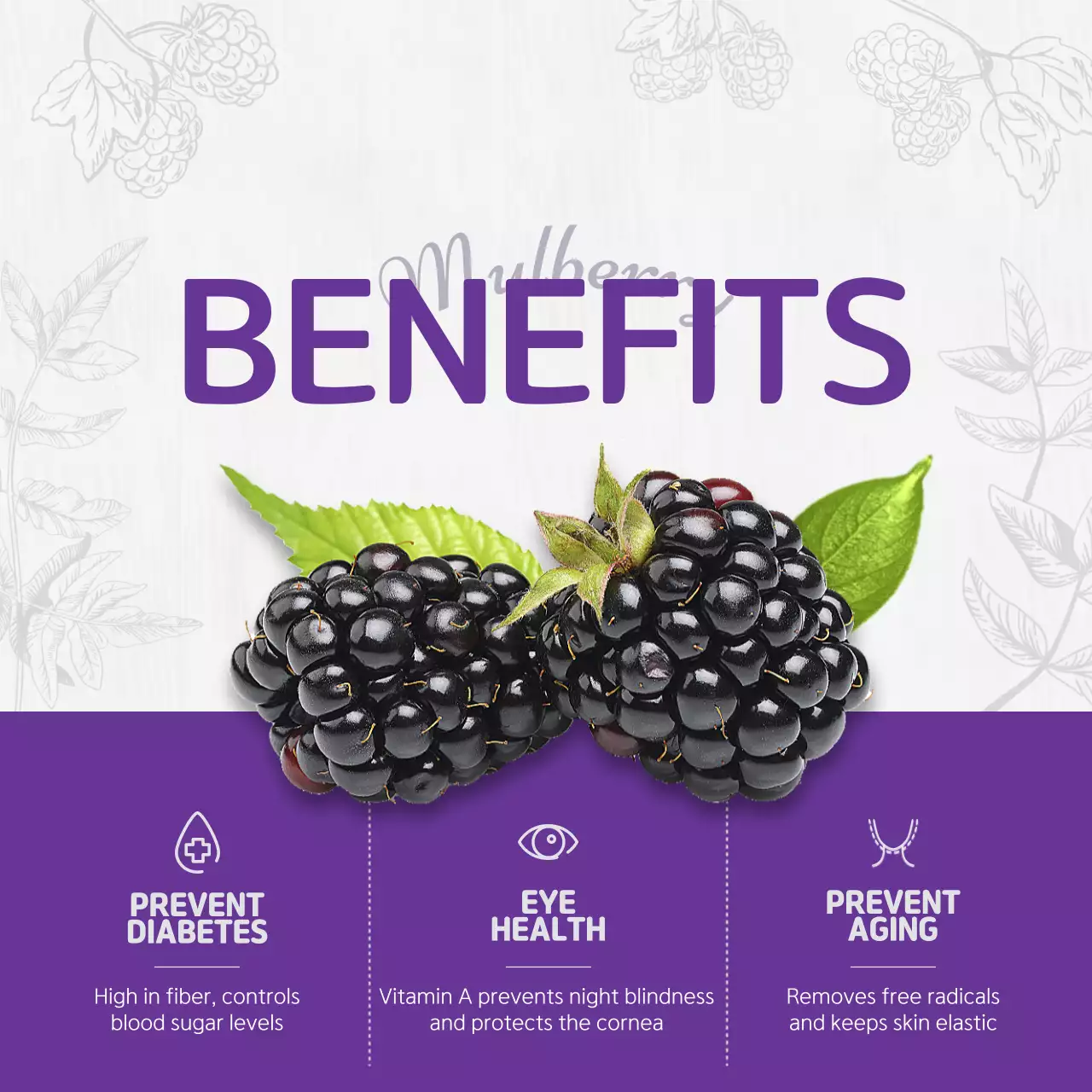 Oddity theme with purple vintage drawing concept