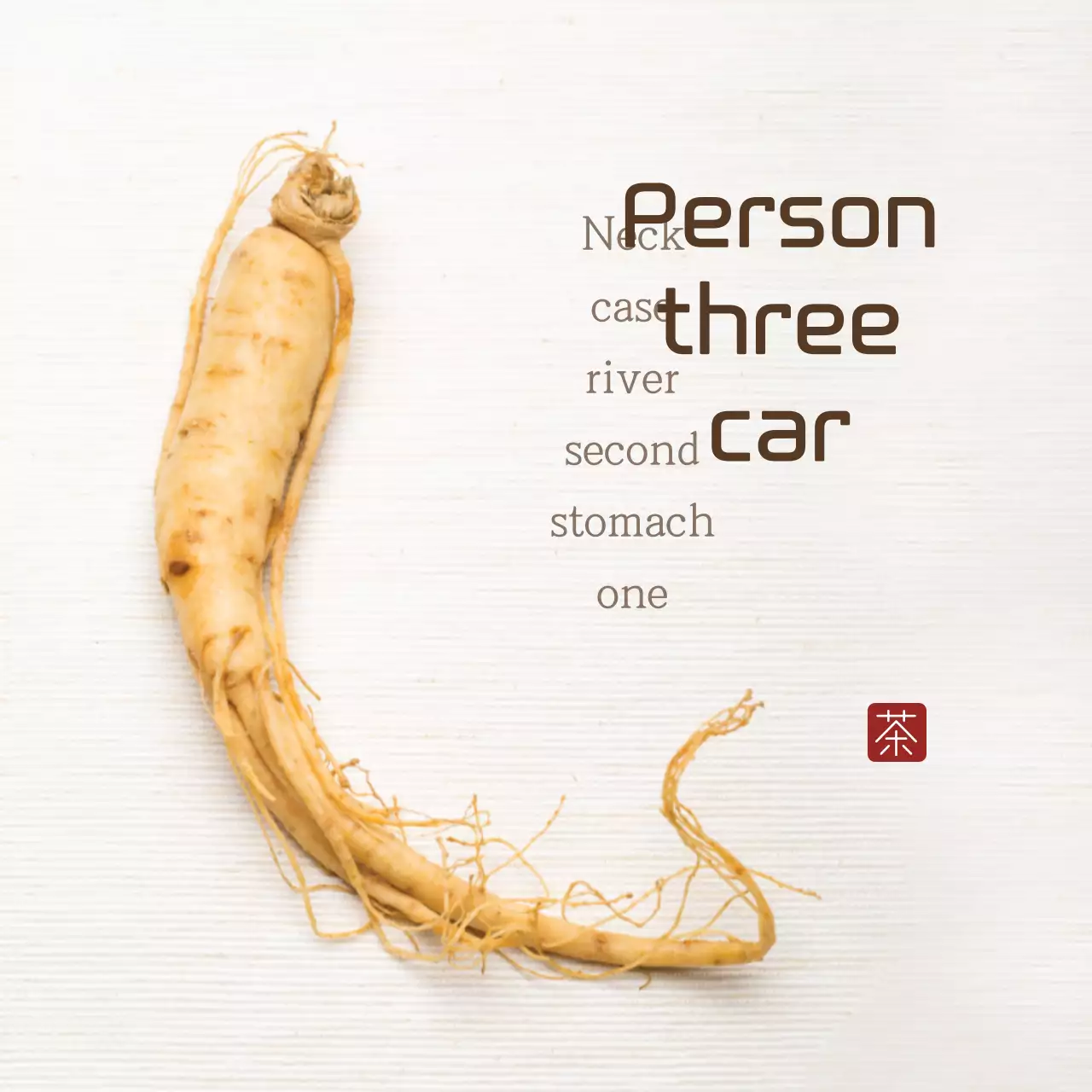 Faixa de guia de ginseng tradicional bege