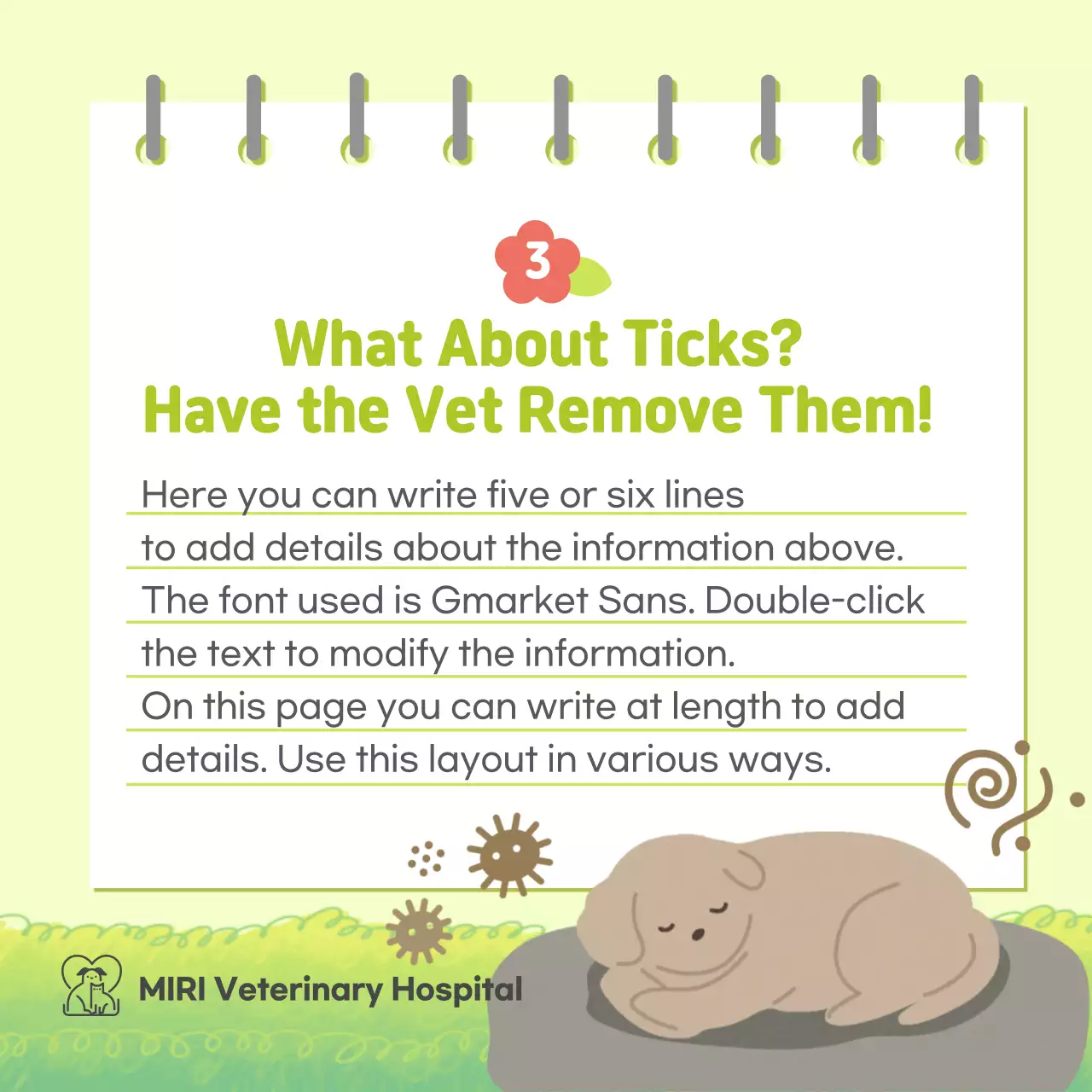 Springtime health tips for your pup in pastel colors