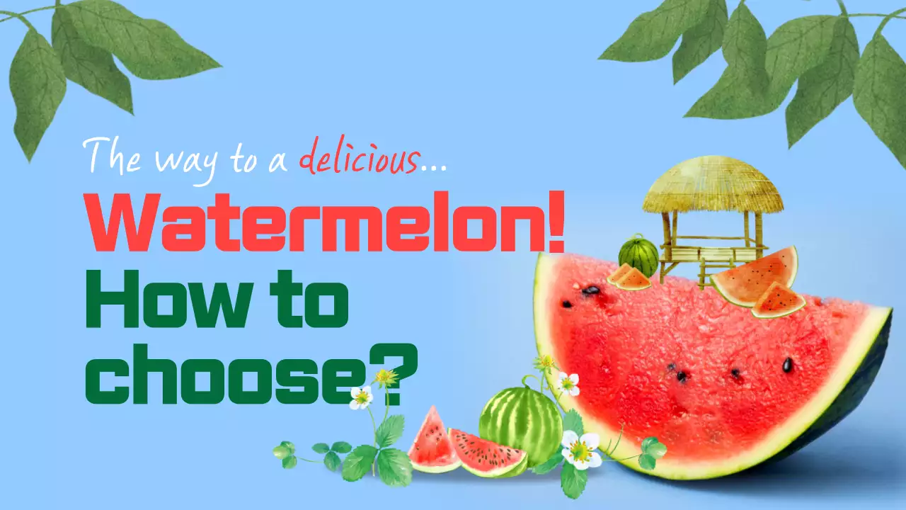 Blue Tropical Watermelon Guide YouTube Thumbnail