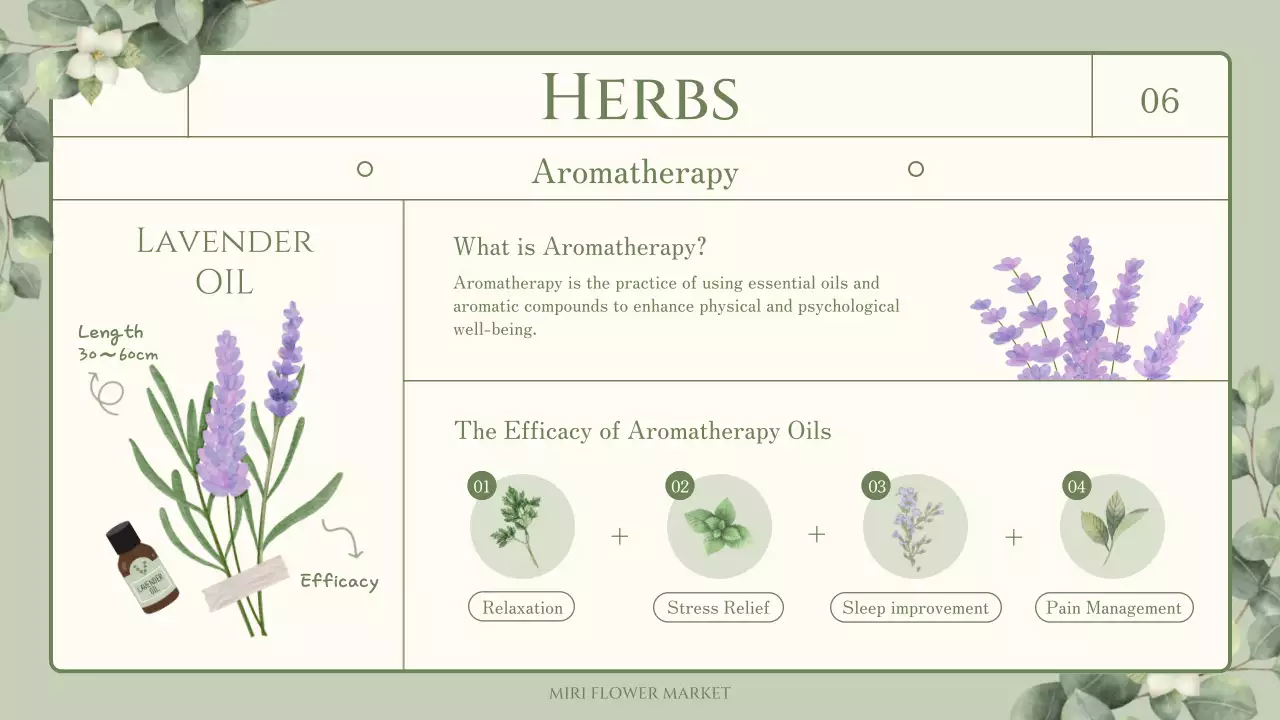 Edible flower and herb trivia with a green, sentimental watercolor illustration theme