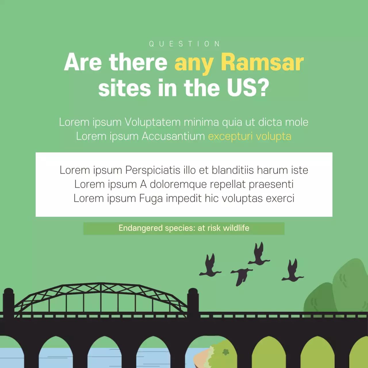 Green Nature Wetlands Announcement Instagram Carousel