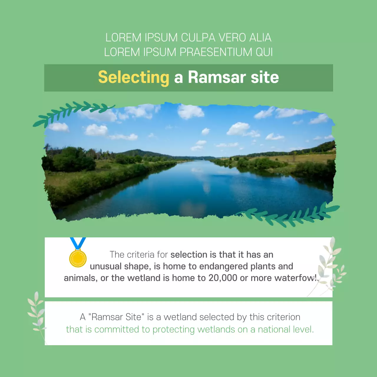 Green Nature Wetlands Announcement Instagram Carousel