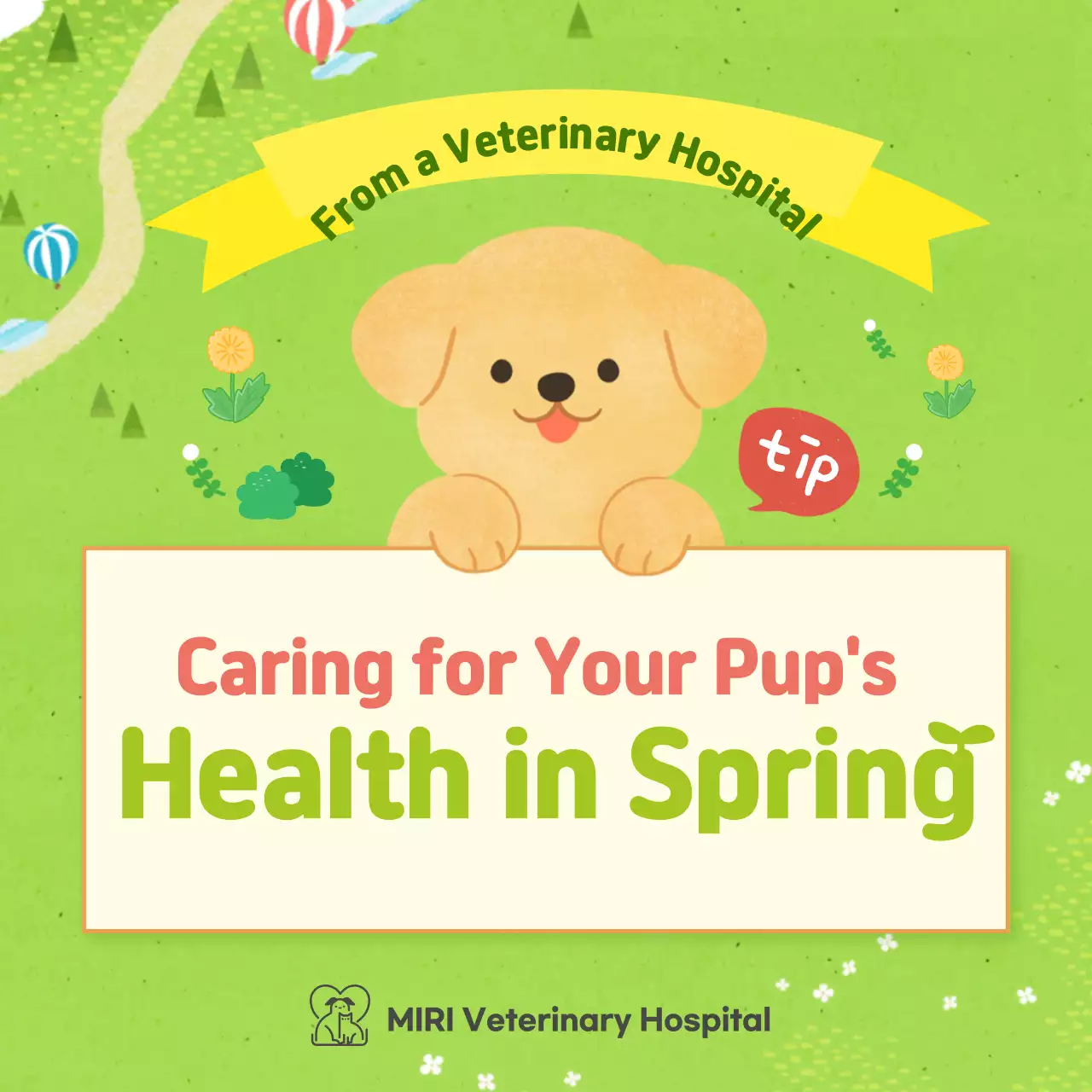 Springtime health tips for your pup in pastel colors