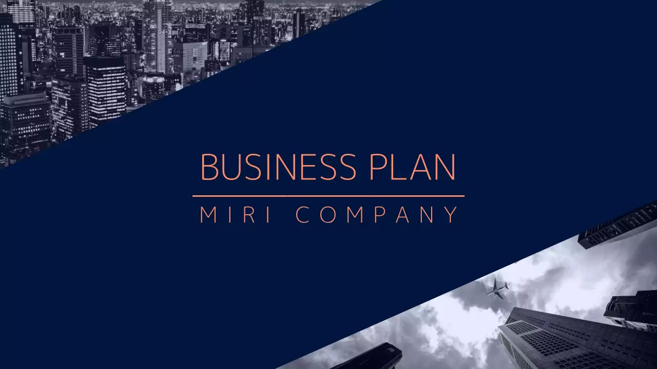 Navy Professional Business Plan Document Presentation